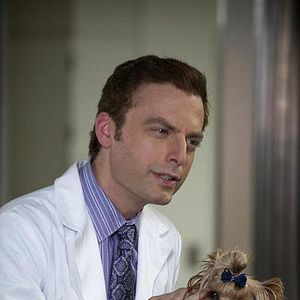 Bilder Animal Practice