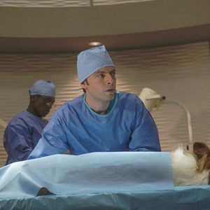 Bilder Animal Practice