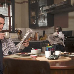 Bilder Animal Practice