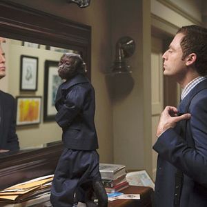 Bilder Animal Practice