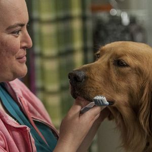 Bilder Animal Practice