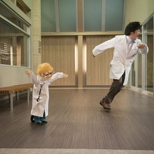 Bilder Animal Practice