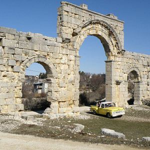 Bilder Sag Salim - Unverletzt