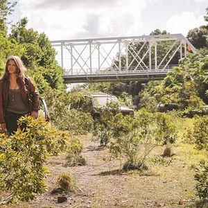 Bilder Tracy Spiridakos