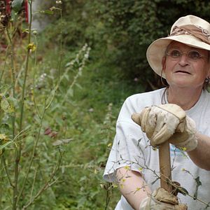 Bilder Jean Lessenich