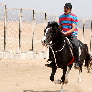 Bilder Nach der Revolution