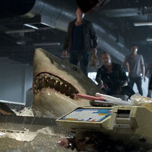 Bilder Bait - Haie im Supermarkt