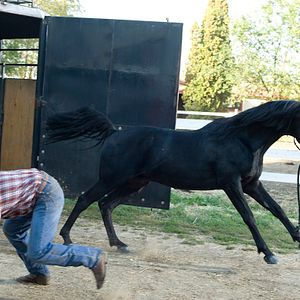 Bilder Flicka 3 - Beste Freunde