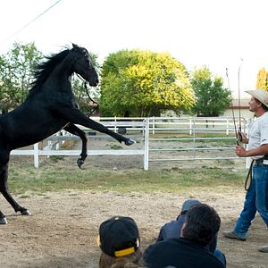 Bilder Flicka 3 - Beste Freunde