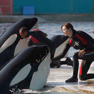 Bilder Marion Cotillard