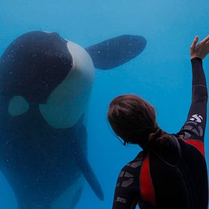 Bilder Der Geschmack von Rost und Knochen