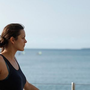 Bilder Der Geschmack von Rost und Knochen