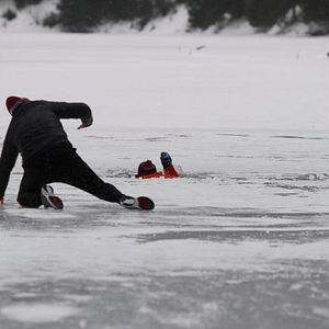 Bilder Der Geschmack von Rost und Knochen