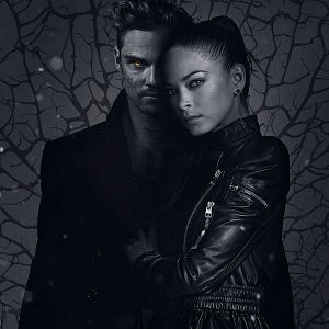 Bilder Jay Ryan (III)