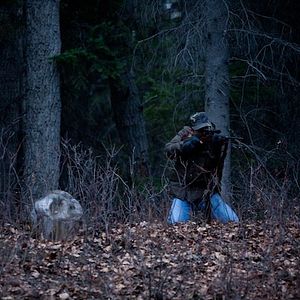 Bilder Frozen Ground