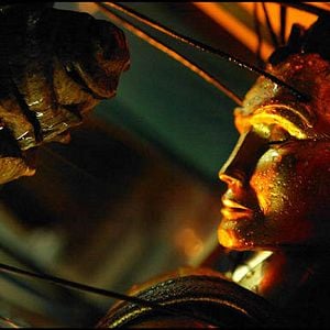 Bilder Strings - Fäden des Schicksals