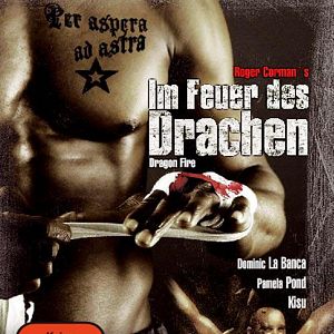Bilder Im Feuer des Drachen