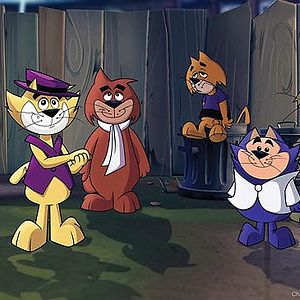 Bilder Top Cat