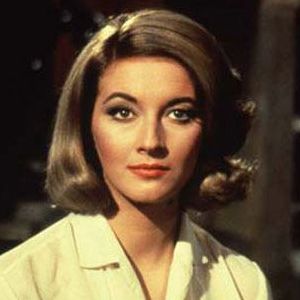 Bilder Daniela Banchi