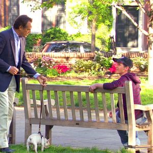 Bilder Liebe in der Luft