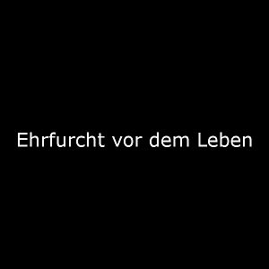 Ehrfurcht vor dem Leben Kurzfilm FILMSTARTS.de