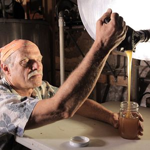 Bilder More than Honey