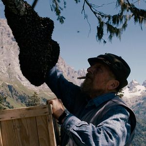 Bilder More than Honey