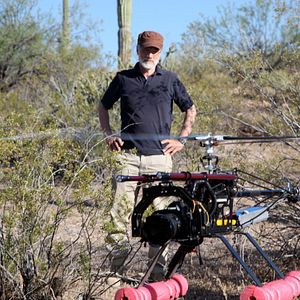 Bilder More than Honey