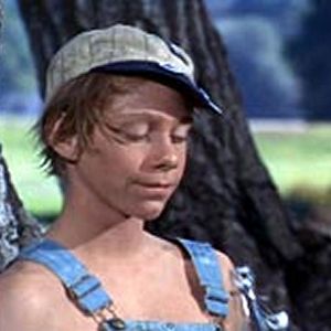 Bilder Ein Frechdachs im Maisbeet