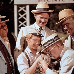 Bilder Ein Frechdachs im Maisbeet