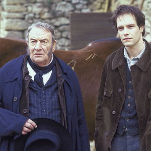 Bilder Virgile Bayle