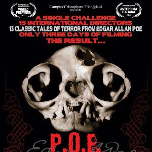 Bilder Edgar Allan Poe - Geschichten des Wahnsinns