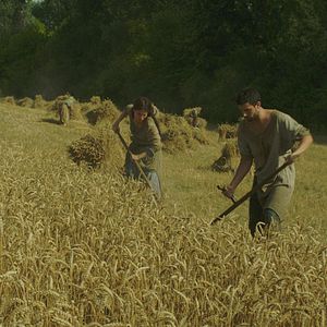 Bilder Nora von Waldstätten