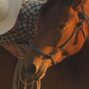 Bilder Wild Horse, Wild Ride