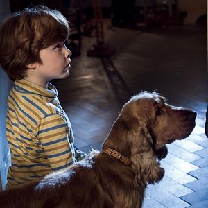 Bilder Boule & Bill - Zwei Freunde Schnief und Schnuff