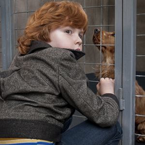 Bilder Boule & Bill - Zwei Freunde Schnief und Schnuff