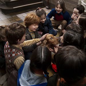 Bilder Boule & Bill - Zwei Freunde Schnief und Schnuff