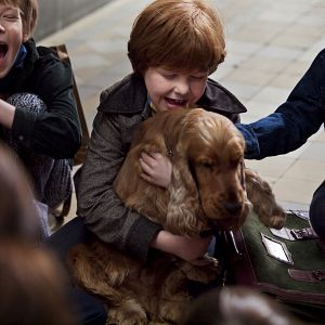 Bilder Boule & Bill - Zwei Freunde Schnief und Schnuff