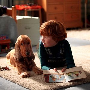 Bilder Boule & Bill - Zwei Freunde Schnief und Schnuff