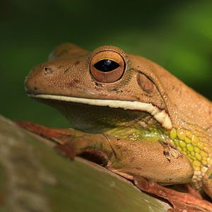 Bilder Australien in 100 Tagen