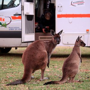 Bilder Australien in 100 Tagen