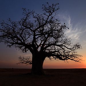 Bilder Australien in 100 Tagen