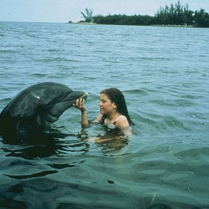 Bilder Daffy und der Wal