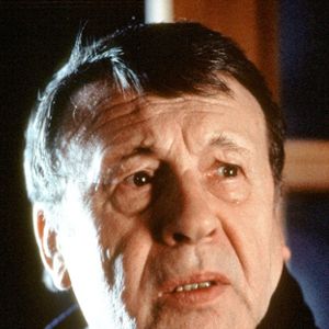 Bilder Günter Lamprecht