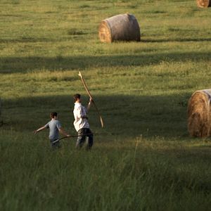 Bilder The Dynamiter