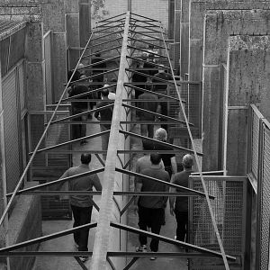 Bilder Cäsar muss sterben