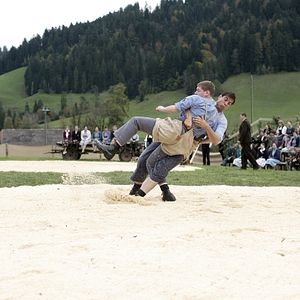 Bilder Der Verdingbub