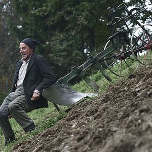 Bilder Der Verdingbub