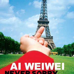 Bilder Ai Weiwei: Never Sorry