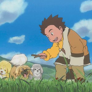 Bilder The Tibetan Dog